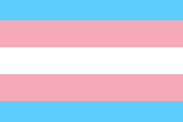 bandera trans
